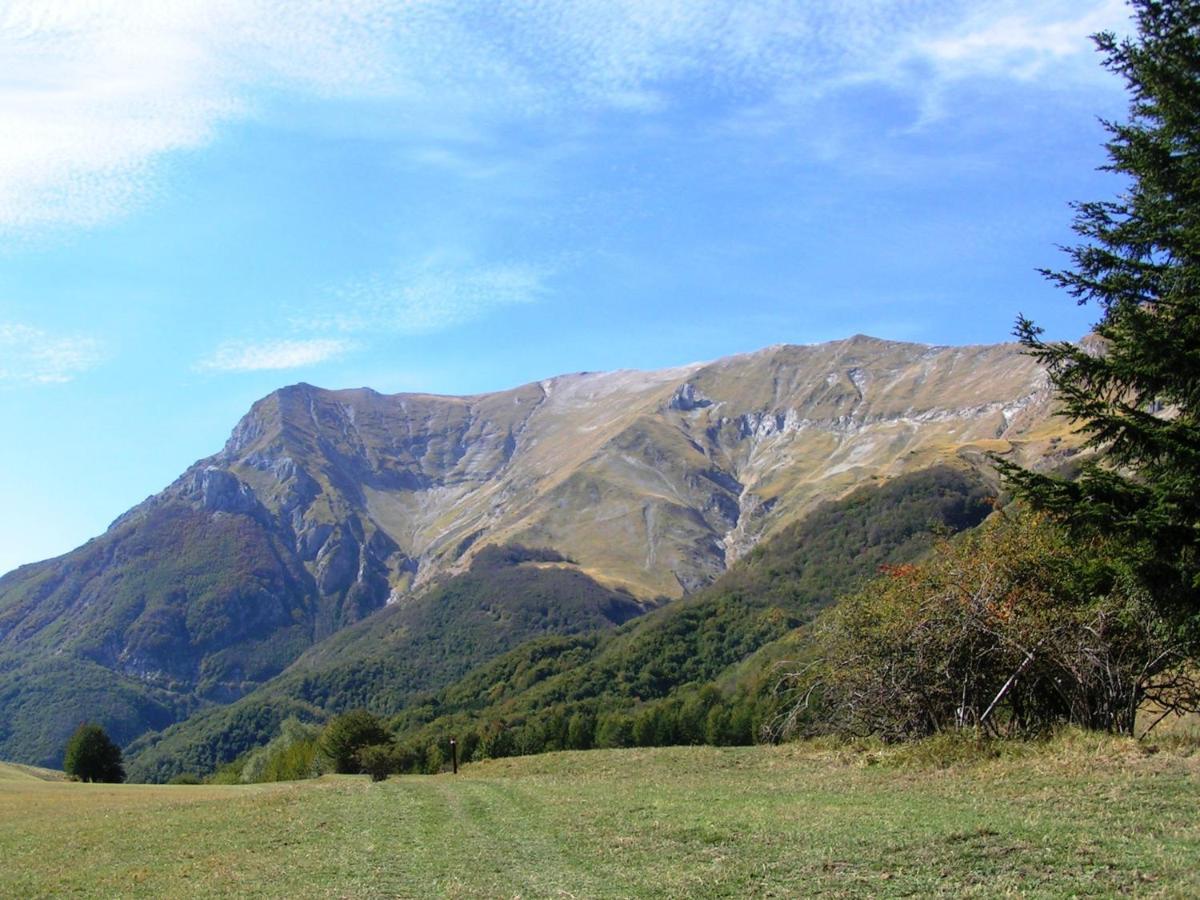 Agriturismo Le Castellare Montemonaco Εξωτερικό φωτογραφία