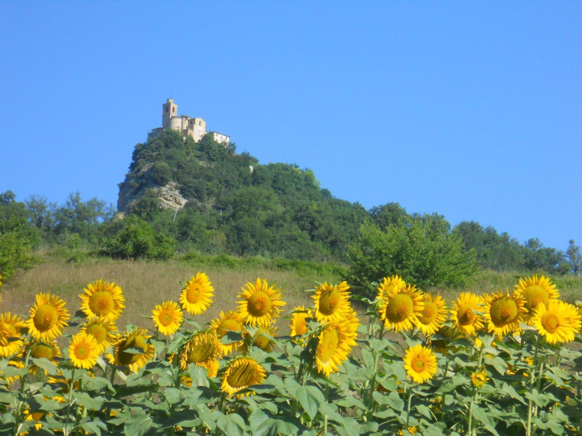Agriturismo Le Castellare Montemonaco Εξωτερικό φωτογραφία