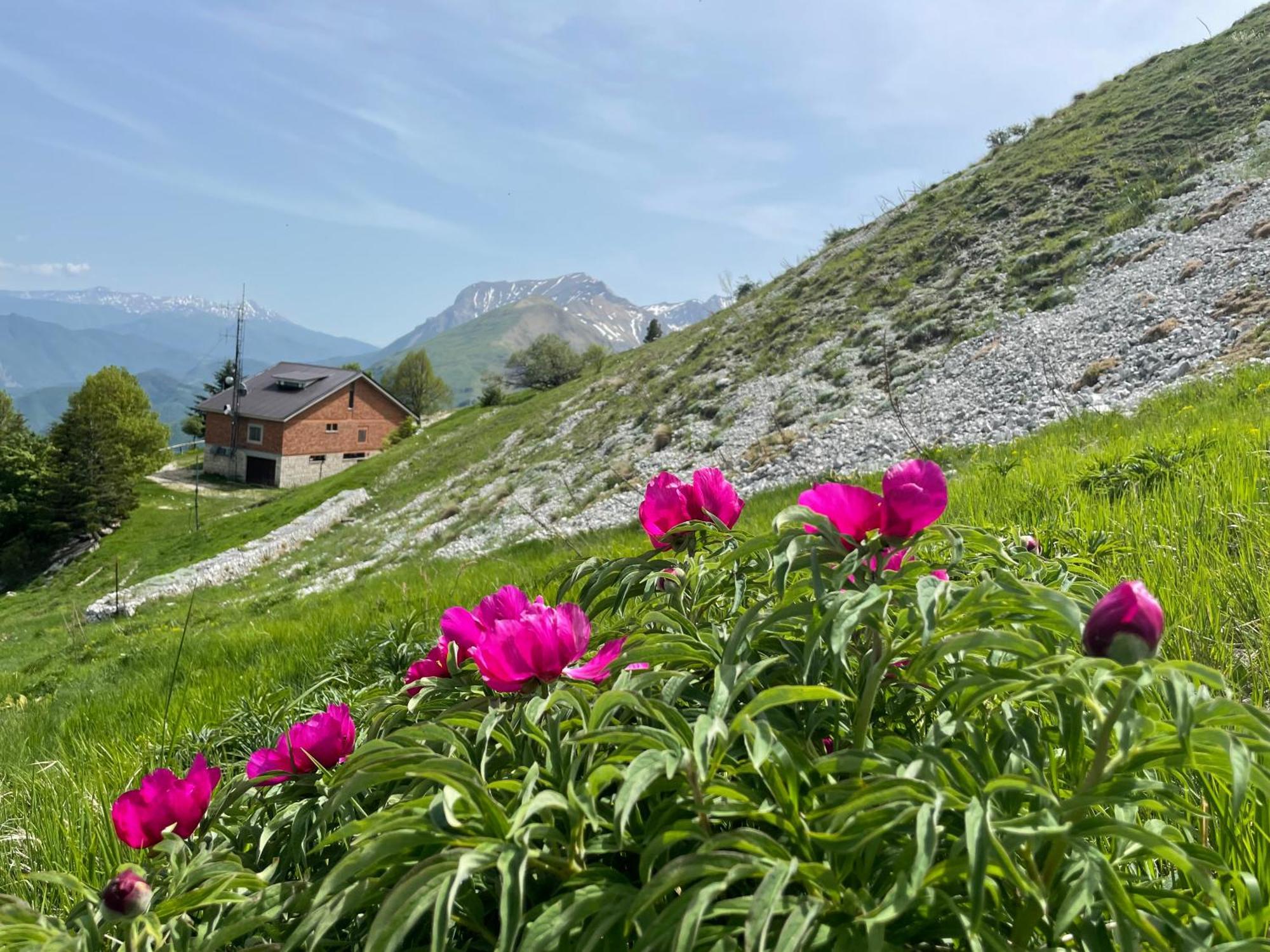 Agriturismo Le Castellare Montemonaco Εξωτερικό φωτογραφία