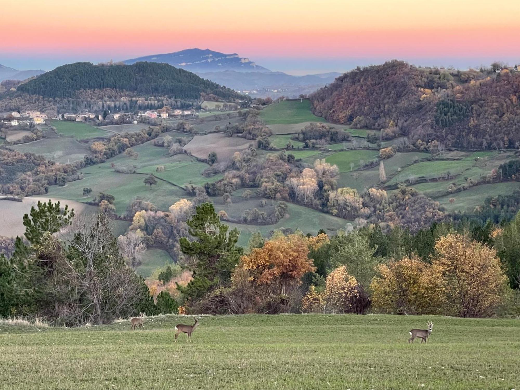 Agriturismo Le Castellare Montemonaco Εξωτερικό φωτογραφία