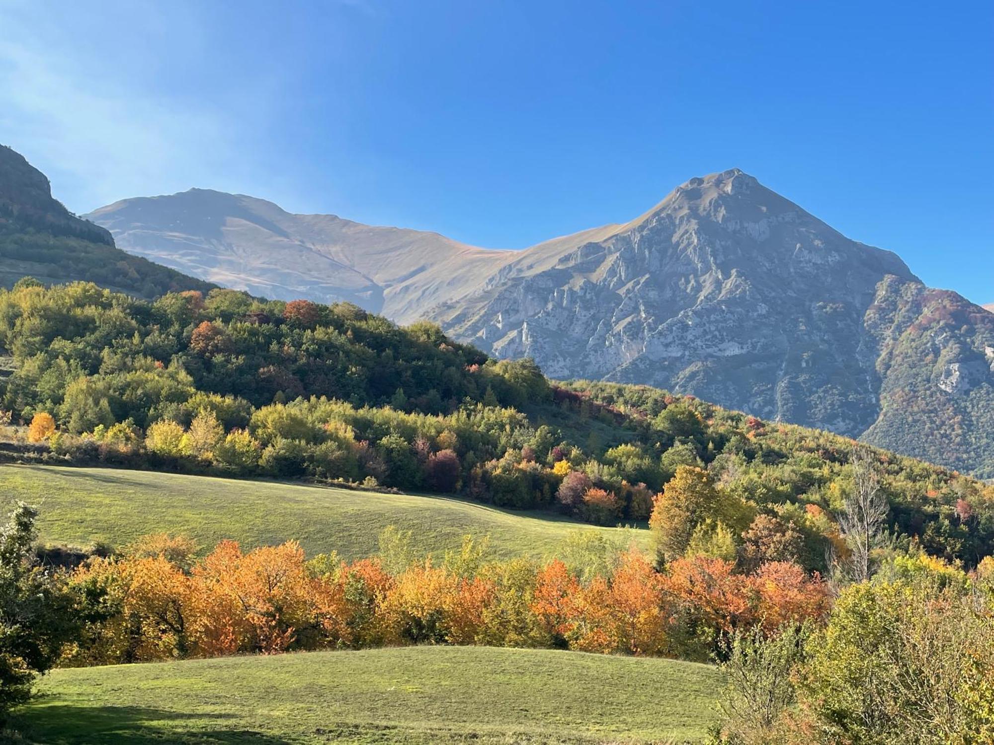 Agriturismo Le Castellare Montemonaco Εξωτερικό φωτογραφία