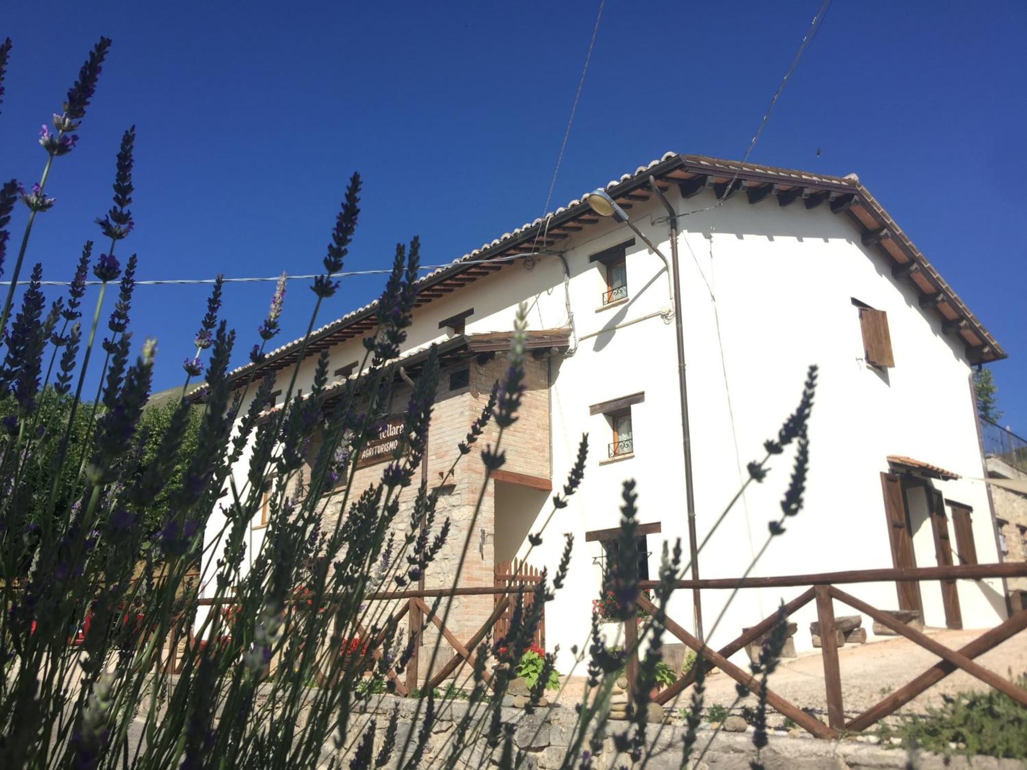 Agriturismo Le Castellare Montemonaco Εξωτερικό φωτογραφία